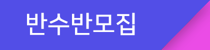 반수반
