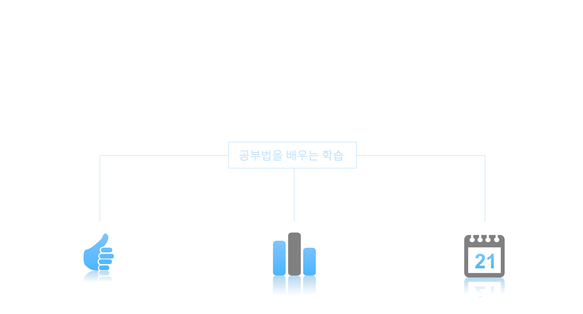 라인업02