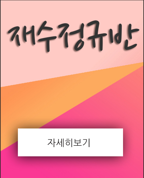 재수정규반